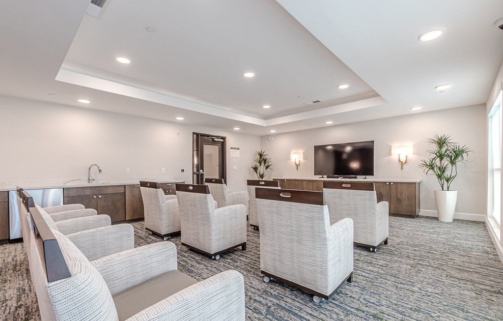 Theater Theater at Briar Park 55+ Apartments, Atlanta, 30331